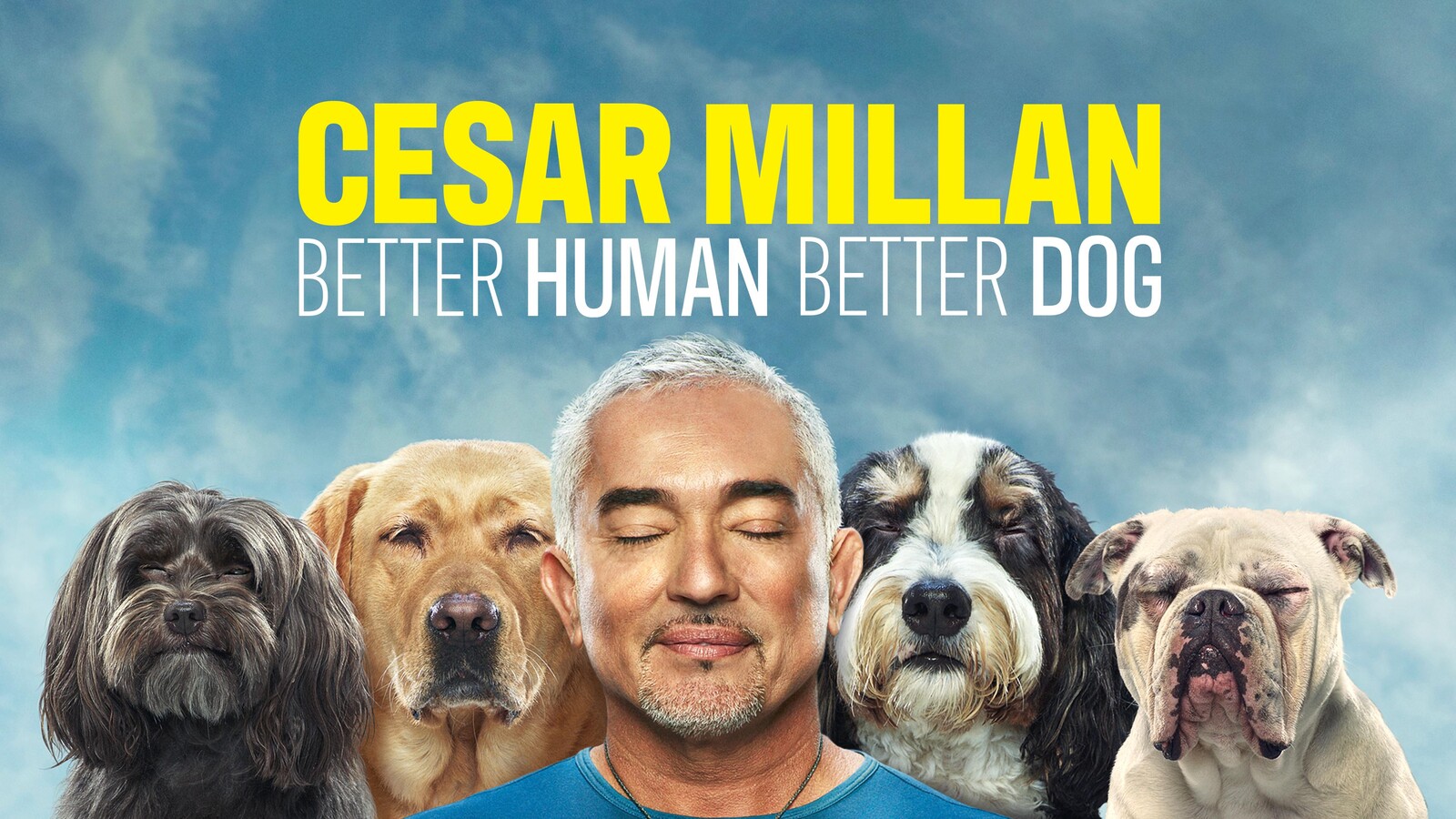 狗語者失格 犬只失控事件背后的警示
