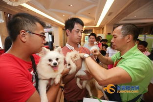 東莞動真格 犬只寄養(yǎng)立法，文明養(yǎng)犬再上“緊箍咒”