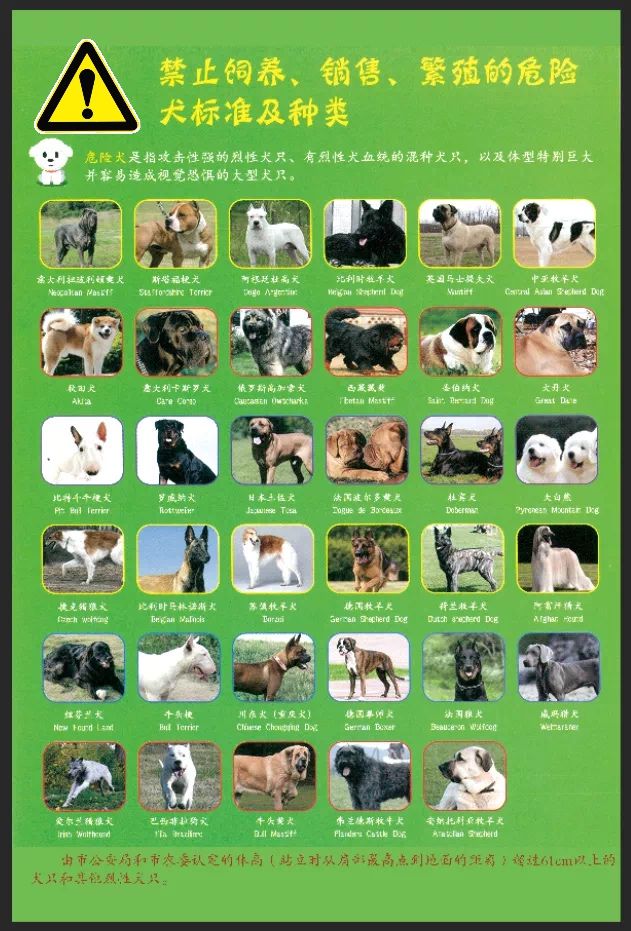 新規(guī)出臺！常州犬主注意，規(guī)范寄養(yǎng)守護愛犬健康安全