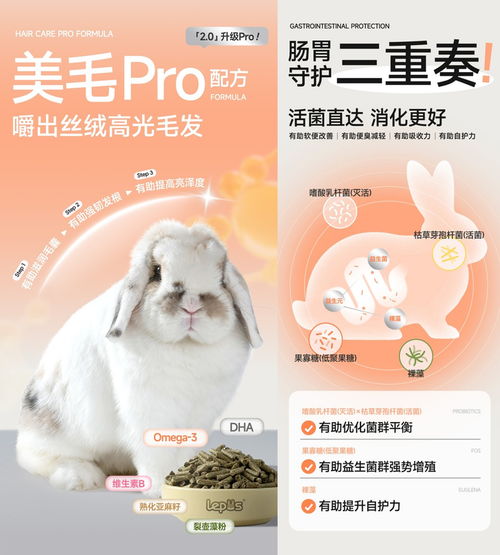 樂兔司 雙料認證與銷量第一的背后，開創性檢測鑄就犬只寄養品質標桿