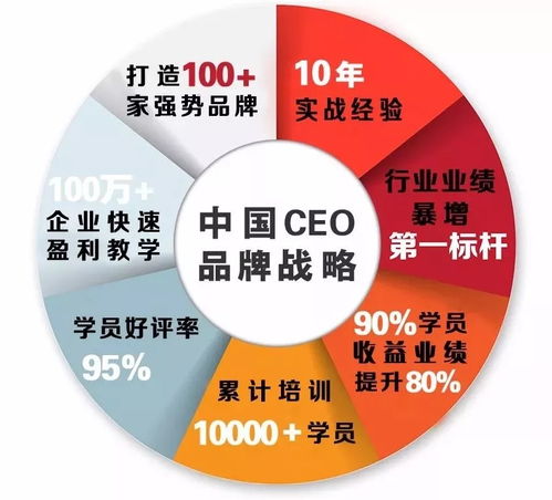 中國CEO品牌戰(zhàn)略與營銷策劃研修班 以專業(yè)服務(wù)驅(qū)動企業(yè)品牌國際化進(jìn)程